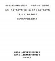 山東祥東新材料科技有限公司1.2萬(wàn)噸/年6-叔丁基鄰甲(60K)、4-叔丁基鄰甲酚(偏 24 酚)和 4，6-二叔丁基鄰甲酚(偏 246 酚)烷基甲酚項(xiàng)目竣工環(huán)境保護(hù)驗(yàn)收監(jiān)測(cè)報(bào)告